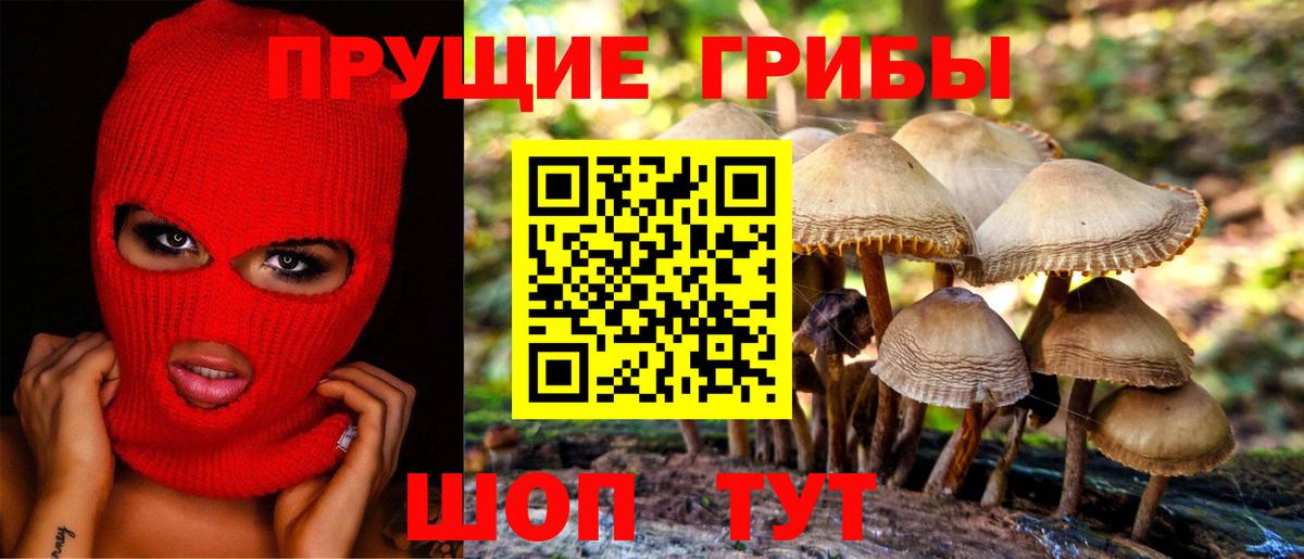 Кемерово  Псилоцибиновые грибы MAGIC MUSHROOMS  Галлюциногенные грибы мухоморы  дарнет шоп  Вход с VPN 
