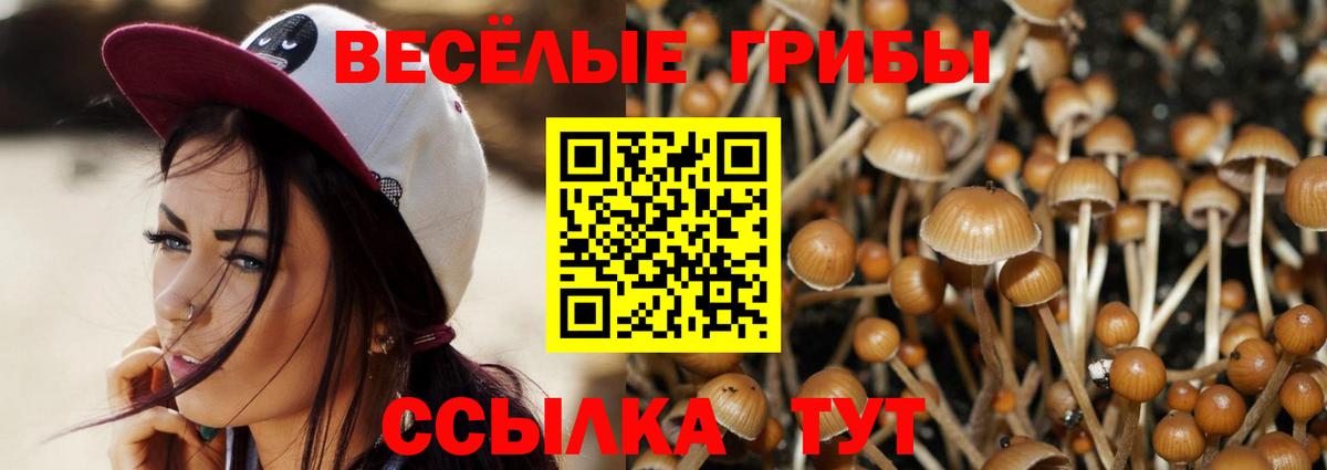 Псилоцибиновые грибы Cubensis Кемерово